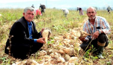 Bursa’da çiftçinin yüzü güldü