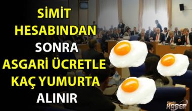 Civcivden “Yumurta” Çıktı!