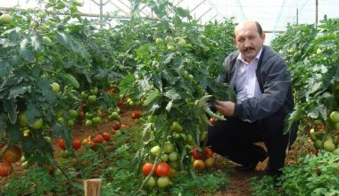 “Çiftçinin iyi gün dostu”