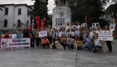 “Sokak Can’ları İçin Yollara Düştüler”