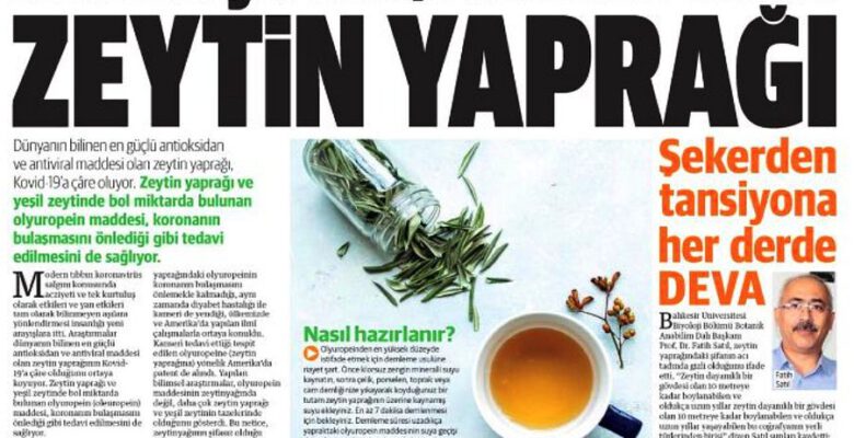 Zeytin Yaprağı Çayı Corona ile Savaşıyor!