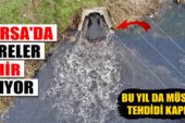 Bu yıl da müsilaj tehdidi kapıda