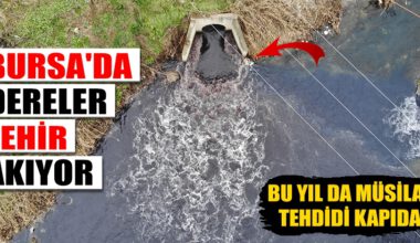 Bu yıl da müsilaj tehdidi kapıda