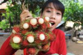 Uzakdoğudan yeni bir şifalı meyve keşfi daha: Rambutan Meyvesi