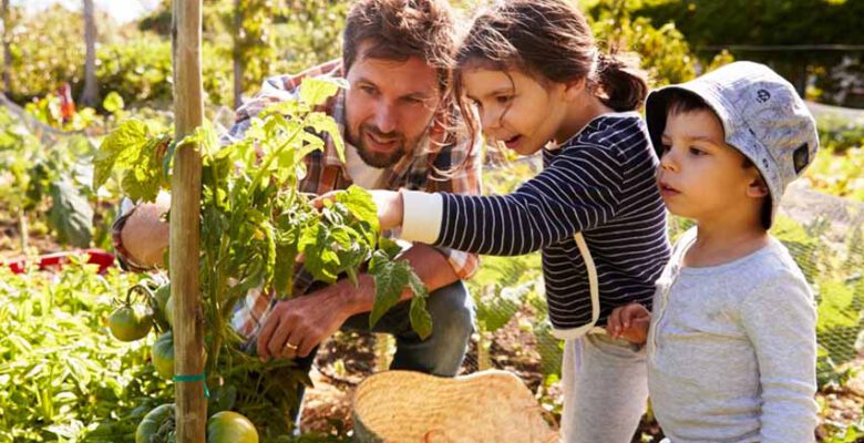 Avrupa’nın en büyük bahçesi, “Corn Maze Bahçe” Ağva’da kuruluyor