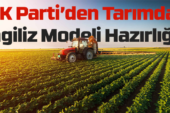 Tarımda ‘İngiliz modeli’ hazırlığı