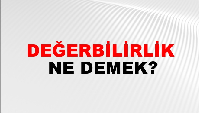 Zeki Baştürk yazdı; BİR DEĞERBİLİRLİK ÖRNEĞİ