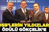 Gökçelik’e “OSB’lerin Yıldızları” ödülü  – OSBÜK’ten Gökçelik’e ödül