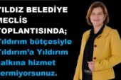 Gider ayak eleştirmeyelim diyoruz ama son 5 yıl da sorunlar dizboyu!