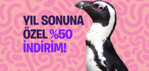 FYZoo’da %50’ye Varan İndirim Fırsatıyla Keşfe Davet!