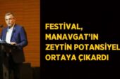 Festival, Manavgat’ın Zeytin Potansiyelini Ortaya Çıkardı