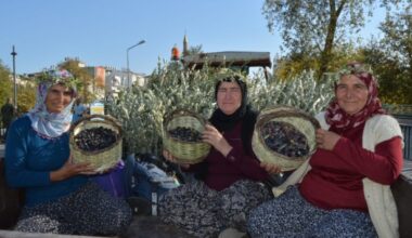 MANAVGAT’TA ZEYTİN VE ZEYTİNYAĞI FESTİVALİ COŞKUYLA BAŞLADI