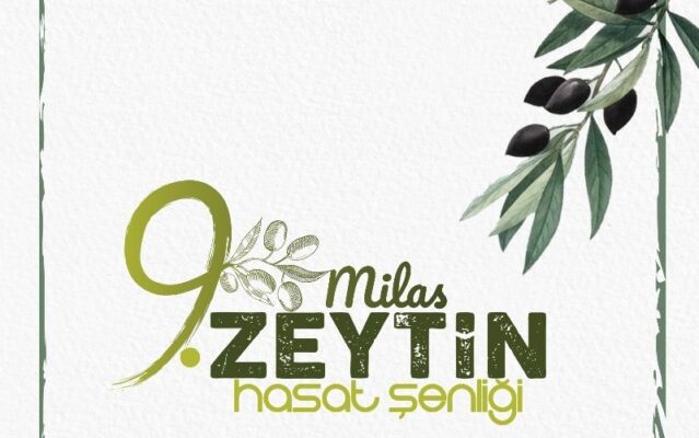 10. MİLAS ZEYTİN HASAT ŞENLİĞİ İÇİN GERİ SAYIM BAŞLADI