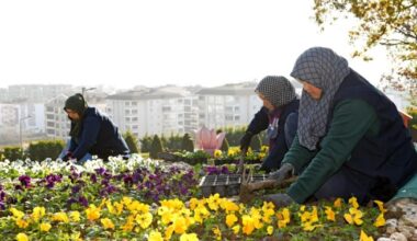 300 bin kış çiçeği toprakla buluşuyor