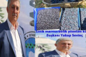 İznik Zeytin Kooperatifi’nin hedefi 15 bin ton zeytin almak