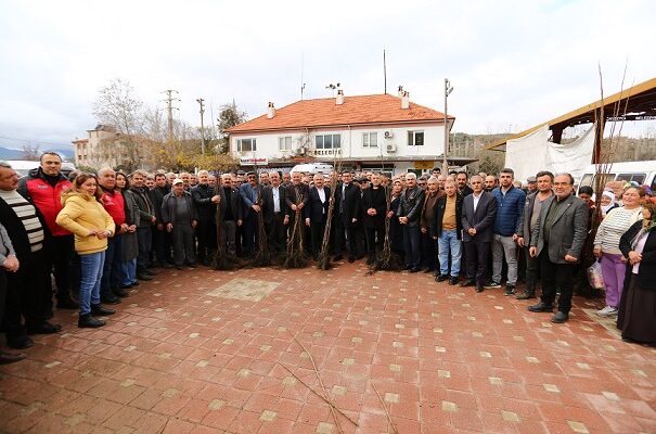 Kavaklıdere’de Cennet Elması Fidanı Dağıtımı