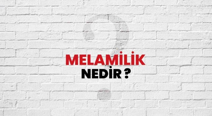 Bahri Palas yazdı; ‘”MELAMİLİK”‘ NEDİR , NE DEĞİLDİR ?